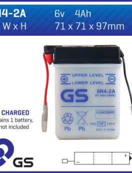 GS Battery - 6N42A (10)