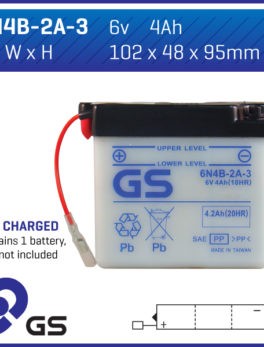 GS Battery - 6N4B2A3 (10)