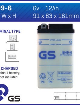 GS Battery B496 (10)