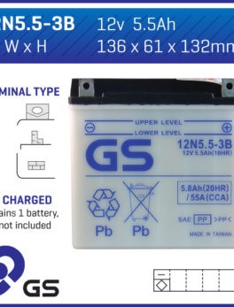 GS Battery 12N553B (4)
