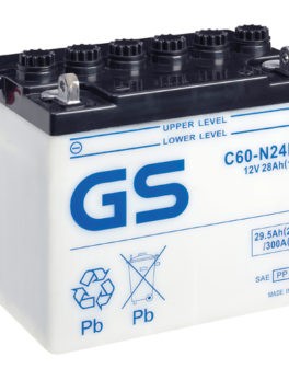 GS Battery C60N24LA2 (3)