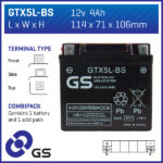 GS Battery GTX5LBS  with Acid pack (6)