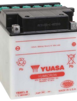 Yuasa battery YB30CLB (1)