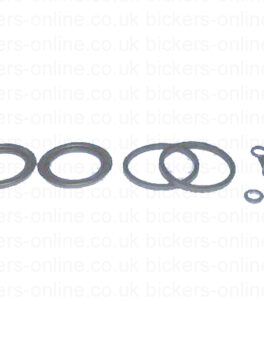 Rear Brake Caliper repair Kit BCR303
