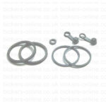 Rear Brake Caliper repair KIT BCR304