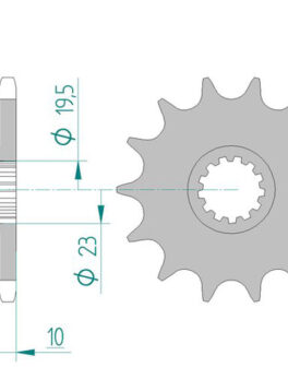 Sprocket Front 432-13 AFAM 22303