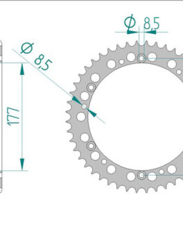 Sprocket Rear 223-52 AFAM 63300