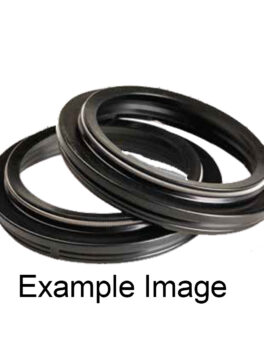 ARI.126 - PAIR OF DUST SEALS 48 X 58,5/62 X 6/11,5  Y-1 CAP