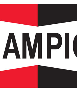 Champion Black Silicone Rubber Spark Plug Cap PRO-0U no resisitor  (200pb)