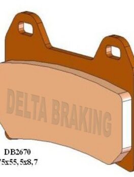DELTA ORN(MXN) SIN'T OFF ROAD PADS DB2670 (FA244 FA262)