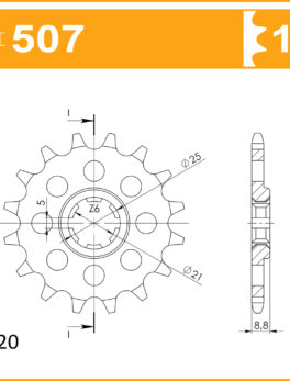 Sprocket Front 507-13 AFAM 24302