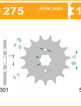 Sprocket Front 275-13 JTF275 AFAM 20301