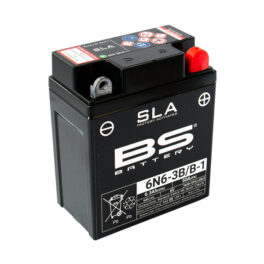 BS 6N6-3B/B-1 SLA (WC) Factory Activated Battery