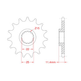 Sprocket Front RK-C4065-13 JTF1902 Afam 73303